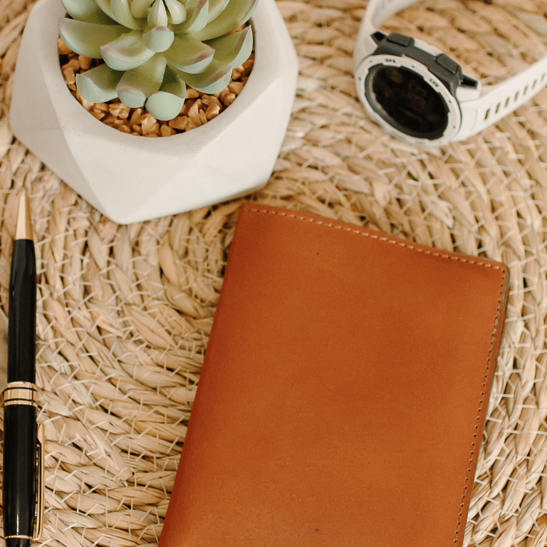 Harlow Leather Passport Holder in Tan