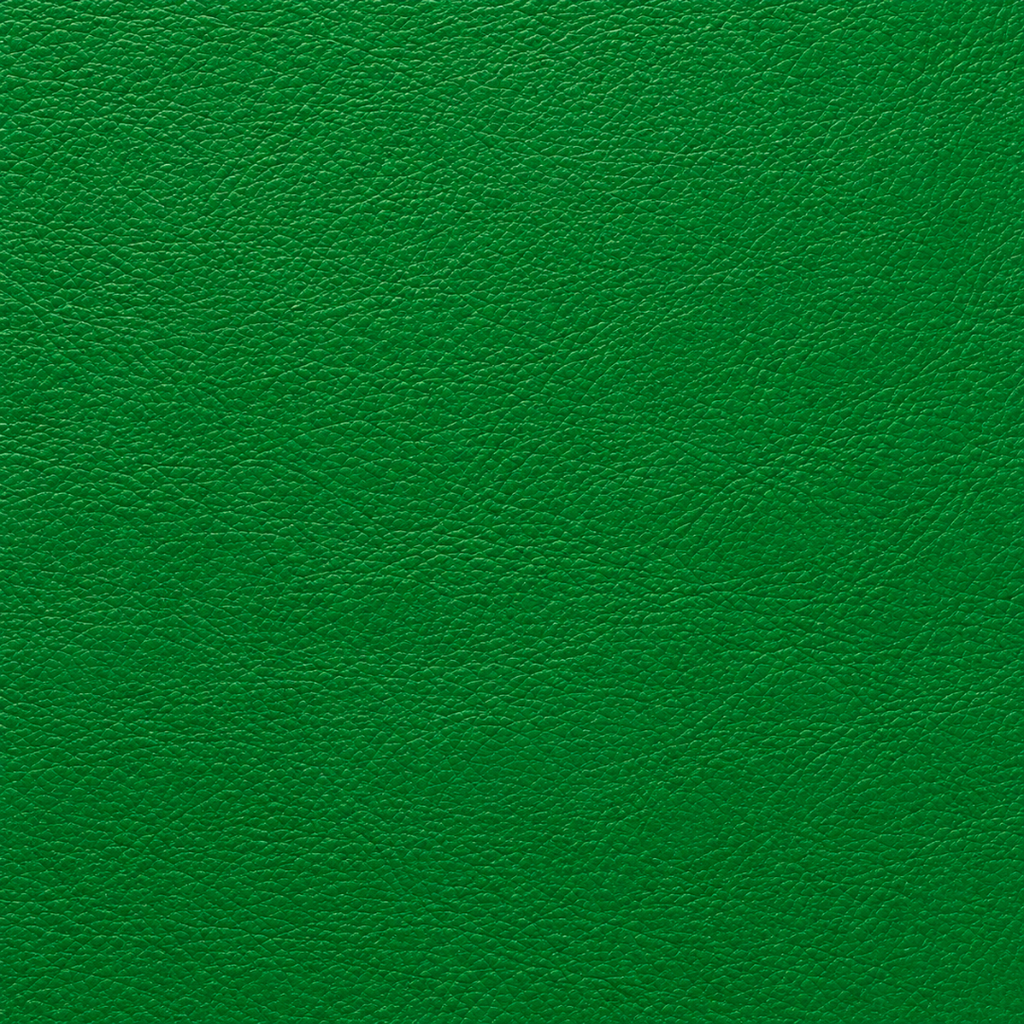 Bum Bag in Green