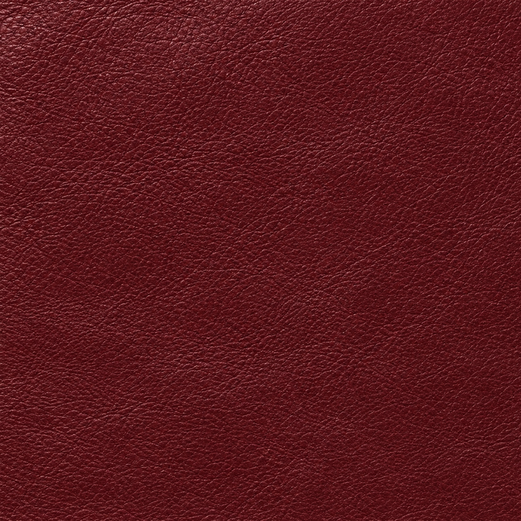 Silvia Leather Baguette Bag in Burgundy